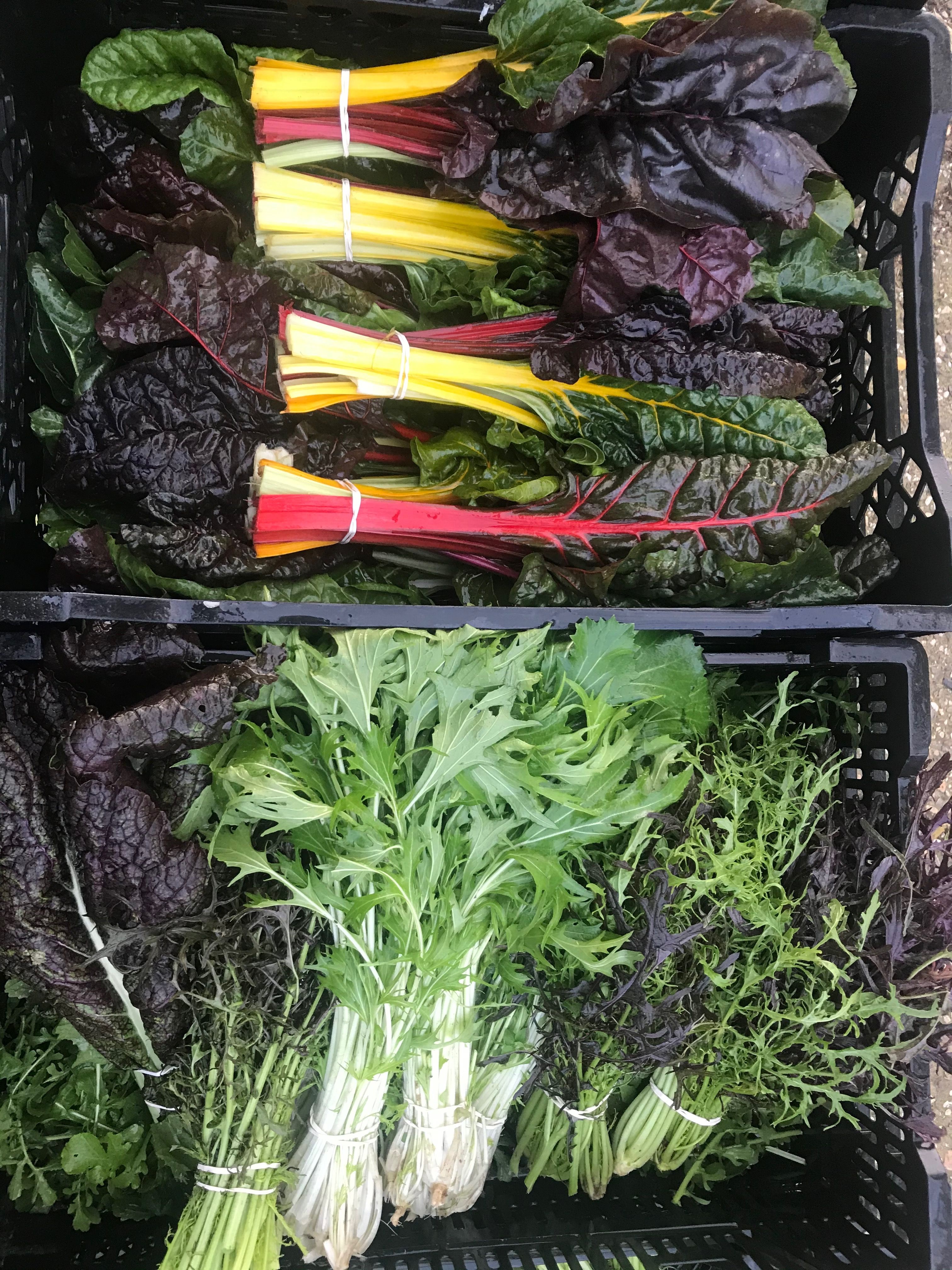 Odoo afbeelding en tekstblok